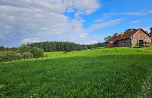 Siedlisko Mazury II - Foto 8