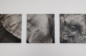 Am Boulevard - Foto 8