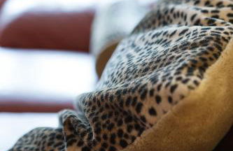 Altstadt Kunstmuseum - Foto 29