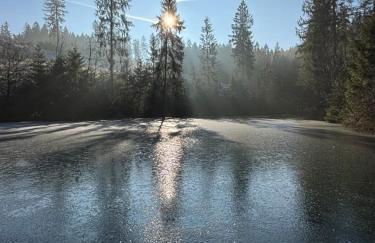 Haus Brockenblick - Foto 40