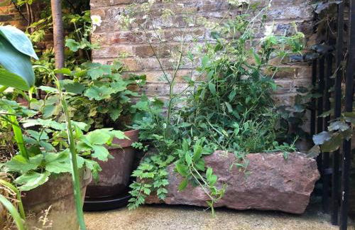 Kings Cross, self-contained house & private garden - Foto 37