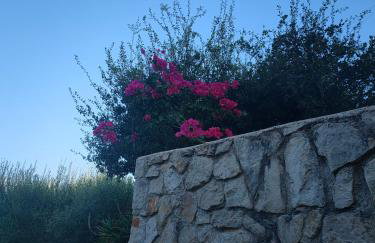 Villa Sasà - Foto 67