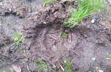 CASA MUNIELLOS - Foto 32