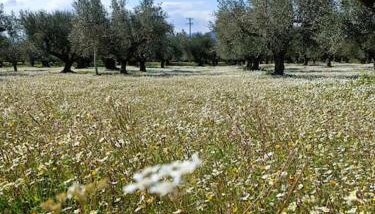 Μεζονέτα 5 υπνοδωμάτια, πλήρως εξοπλισμένη και με φορτιστή ηλεκτρικού αυτοκινήτου - Foto 5