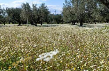 Μεζονέτα 5 υπνοδωμάτια, πλήρως εξοπλισμένη και με φορτιστή ηλεκτρικού αυτοκινήτου - Foto 5