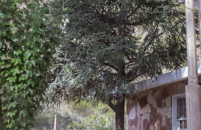 Bosque Divino Cabañas & Suites - Foto 42