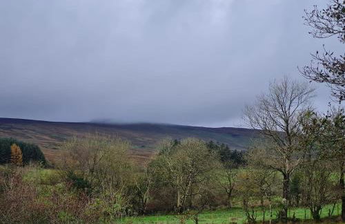 The Cornerstone - Foto 24