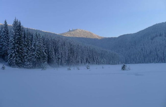 Ferienwohnung im Bayerischen Wald mit Sauna - Foto 29