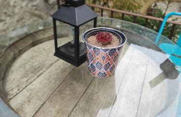 El Naturalista - Los sitios de aravalle - Foto 14