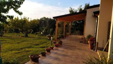 Casa vacanze Le mimose Colline di Tropea - Foto 3