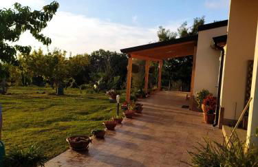 Casa vacanze Le mimose Colline di Tropea - Foto 3