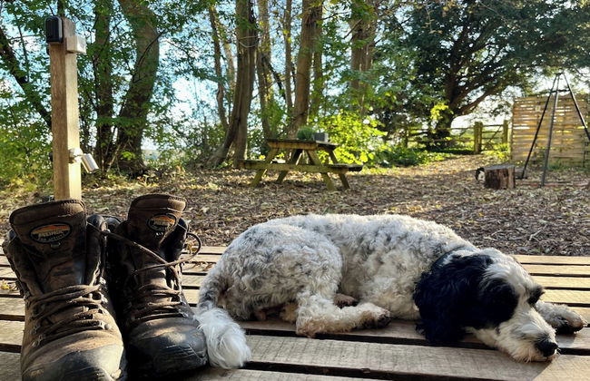 Woodland Cabin Retreat in Alfriston - hot tub - Foto 6
