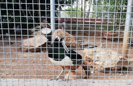 Stelle Sul Salento Holiday Home - Foto 6