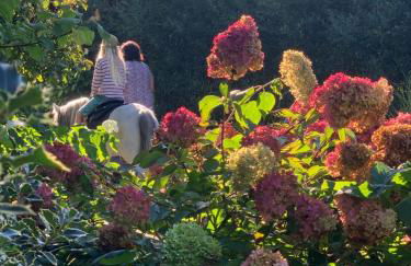 Ferienhof Klein - Foto 27