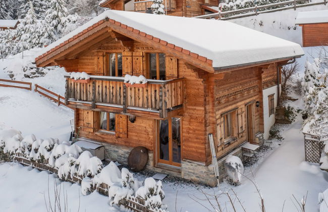 Ecureuil noir - Foto 24