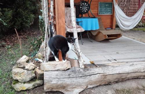 "Haus Ulla" - Foto 68