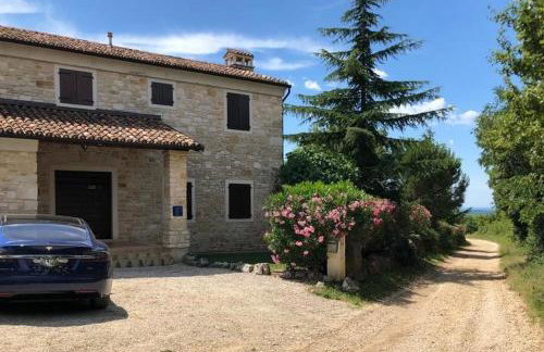 Villa Oliva Istria - Foto 46