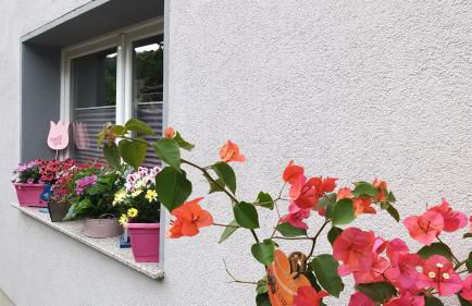 FerienwohnungReinel - Foto 19