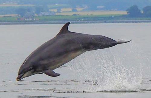 Pine Lodge - Photo 28