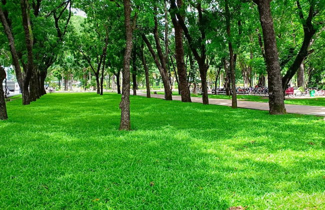 Studio Apartment near Airport - Foto 65