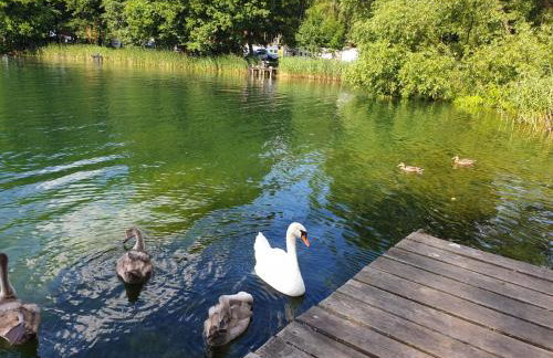 Domki w sadzie - Gościniec LECH - Foto 36