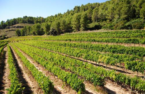 Cal Porxo del Priorat - Foto 36