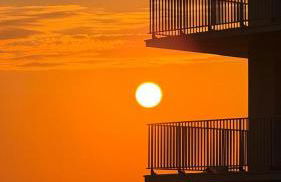 Les pieds dans le sable - Photo 1