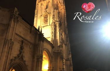 ROSALES Apartamento y jardín - Foto 22