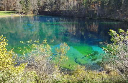 Ferienwohnung am Eichwald - Photo 45