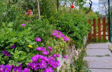 Borgo del Sole - Foto 40