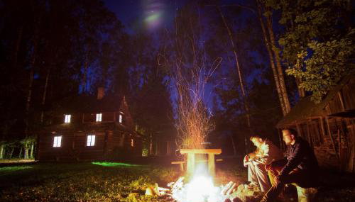 Chatka w lesie - Foto 2