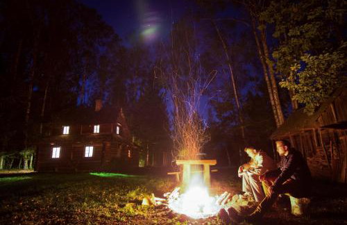 Chatka w lesie - Foto 2