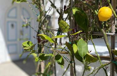 Villa Marecoco - Photo 21