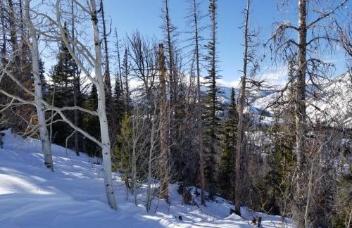 Whistle Pig Retreat at 22 West Cabins and Recreation - Foto 12