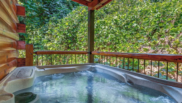 Servizio della struttura