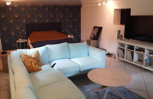 grand Appartement climatisé avec terrasse et parking - Photo 3