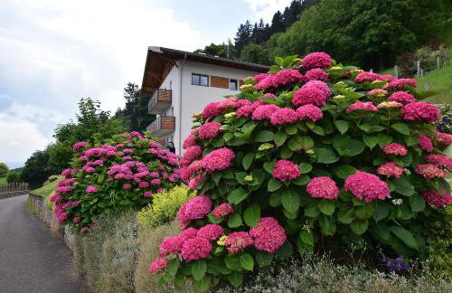 Villa Waldrand with Merano view - Foto 24