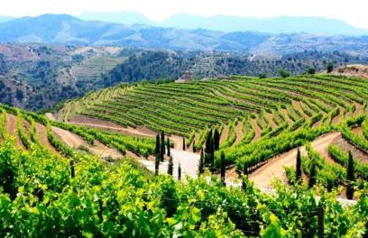 VILLA WINE EXPERIENCE Salou Center - SPA & Wine - Foto 60