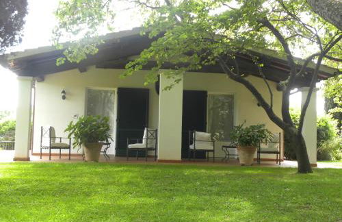 Ghiaccio Bosco - Foto 68