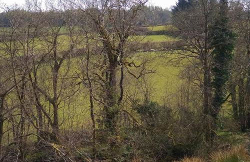Wern Ddu, Defynnog - Brecon Beacons - Photo 7
