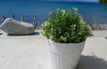 ''Sea front'' Rose's house - Foto 3