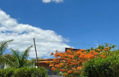 Rancho Rallf - Foto 26