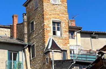 Duplex proche bord de Saône - Foto 30