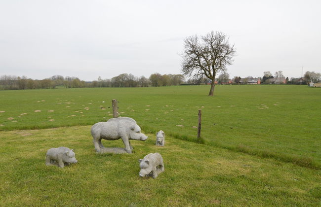 Holiday Home in Cul des Sarts - Foto 27