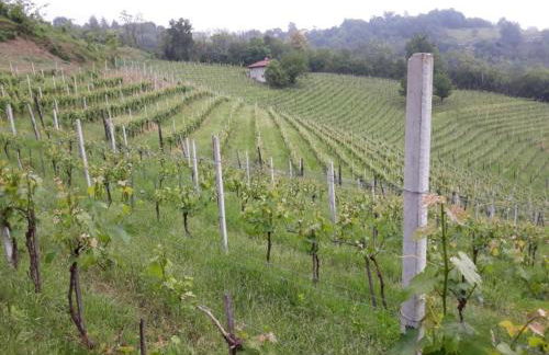 Guest House in Monferrato With Wine Tasting - Foto 56