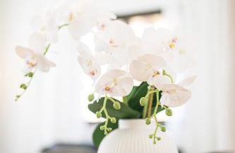 Lovely villa with private pool - Foto 18