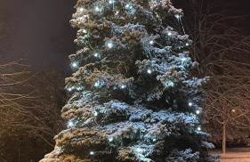 Ferienhaus Helfert FeWo2 mit eigener Terrasse - Foto 23