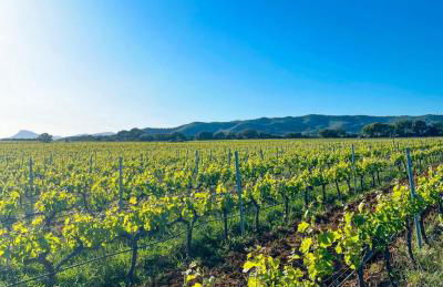 Charmant Studio - Foto 16