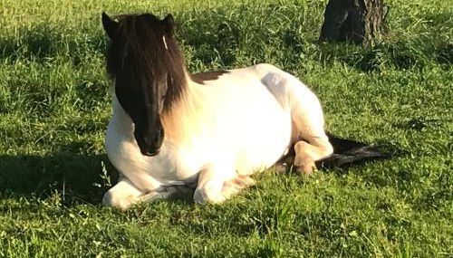 Ferienwohnung Zweinig02 - Foto 3