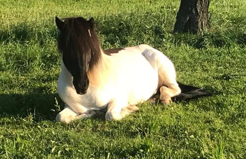 Ferienwohnung Zweinig 03 - Foto 10